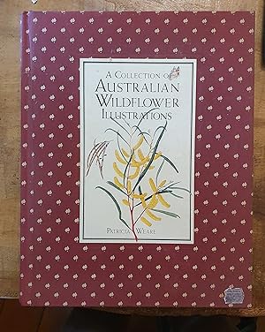 A COLLECTION OF AUSTRALIAN WILDFLOWER ILLUSTRATIONS