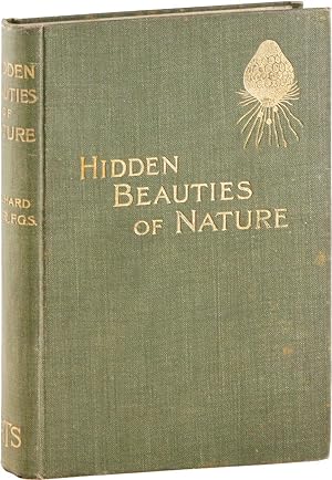 Hidden Beauties of Nature