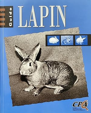 Guide lapin