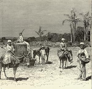 Group of Haitians,inhabitants of Haiti,Antique Historical Print