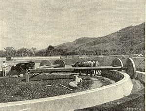 Mill for Husking Corn in Costa Rica,Antique Historical Print