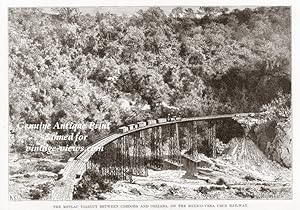 The Metlac Viaduct between Cordoba and Orizaba on the Mexico-Vera Cruz Railway,Antique Historical...