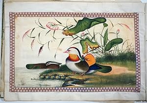 A 36-leaf album of Chinese export paintings of Birds, Shells and Chinese life