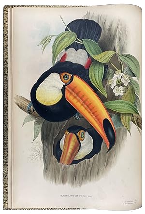 A Monograph of the Ramphastidae, or Family of Toucans