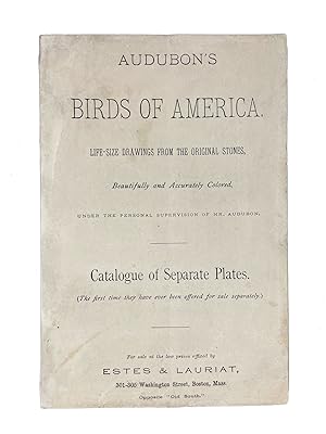Audubon's Birds of America. Life-Size Drawings from the Original Stones, Beautifully and Accurate...