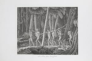 Les Puris dans leurs forêts - Voyage au Brésil, Dans les années 1815, 1816 et 1817, par S. A. S. ...