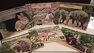 True Nature Series Books - 6 Titles: "Animals Of The Woods # 1"; "Black Bear Tiwns # 5"; "Pride T...