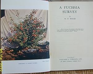 A Fuchsia Survey