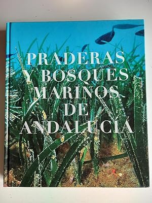 Praderas y bosques marinos de Andalucía