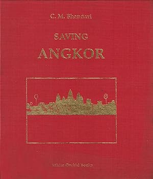 Saving Angkor