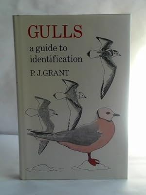 Gulls. A Guide to Identification