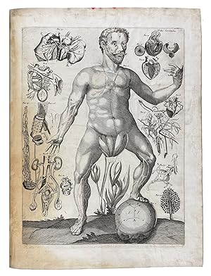 A Survey of the Microcosme: or, The Anatomy of the Bodies of Man and Woman. Wherein The skin, vei...