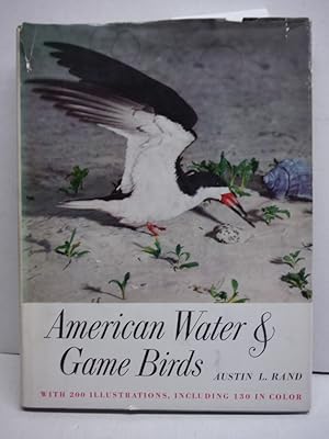 Rare AMERICAN WATER AND GAME BIRDS - E. P. Dutton and Co., New York