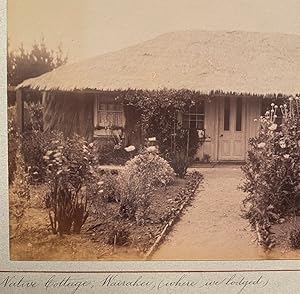 Native cottage, Wairakei, Rotorua.