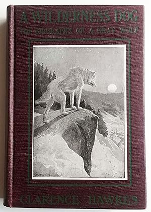 Wilderness Dog, The Biography of a Gray Wolf