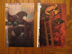 DC Two Comic Book Lot: The Vertigo Gallery #1 (1995) Dreams & Nightmares, and; Death Gallery #1 (...