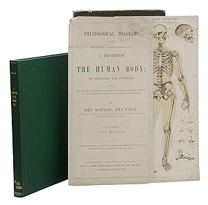 A Description of the Human Body: Its Structure & Functions Illustrated by Nine Physiological Diag...
