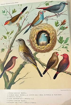 The illustrated Book of Canaries and Cage-Birds, British and Foreign.