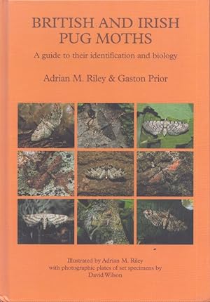British and Irish Pug Moths - a Guide to their Identification and Biology