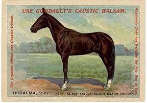 Use Gombault's Caustic Balsam [with portrait of trotter Boralma 2:07]