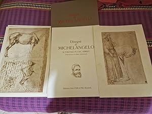 DISEGNI DI MICHELANGELO,