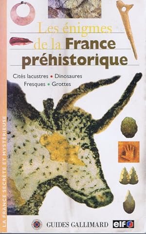Les Énigmes de la France préhistorique