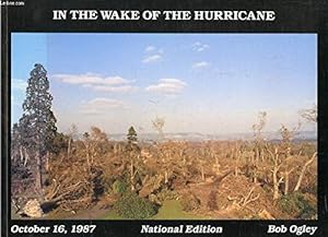 In the Wake of the Hurricane