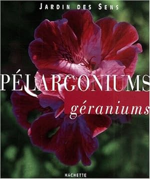 Pélargoniums