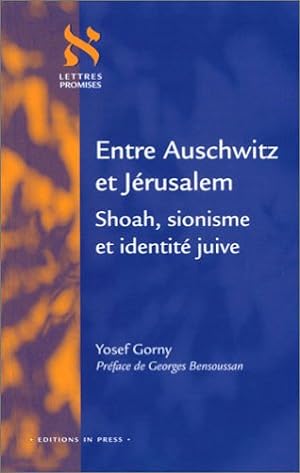 Entre Auschwitz et Jérusalem : Shoah sionisme et identité juive