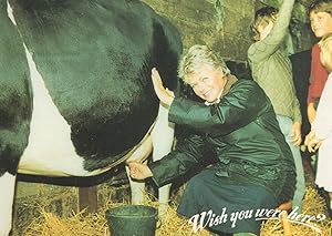 Milking A Cow at Clovelly Wish You Were Here Greetings Postcard