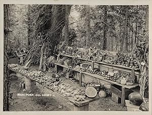 Photograph of a Mariposa County, California, Produce Exhibit, ca. 1915