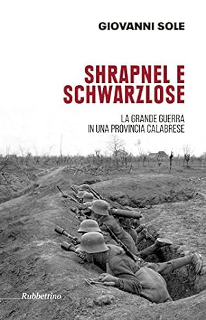 Shrapnel e schwarzlose : la Grande Guerra in una provincia calabrese