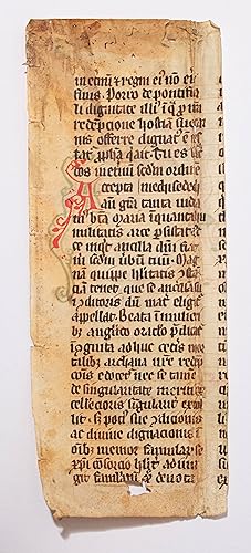 Leaf from a copy of a Homiliary with a text ascribed to Bede in Latin, decorated manuscript on pa...
