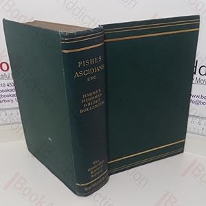 Hemichordata, Ascidians and Amphoxus, Fishes etc (The Cambridge Natural History series, Volume VII)