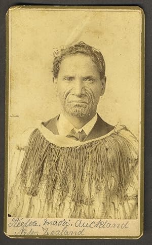 Keewee Maori: Auckland New Zealand. Carte de visite