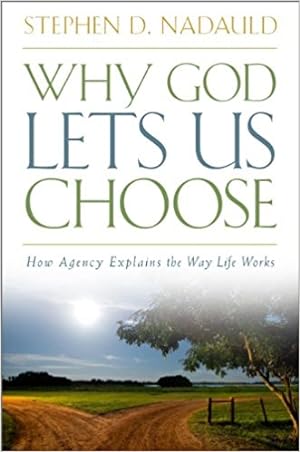 Why God Lets Us Choose - How Agency Explains the Way Life Works