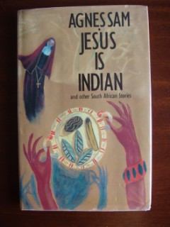 Jesus Is Indian and Other South African Stories