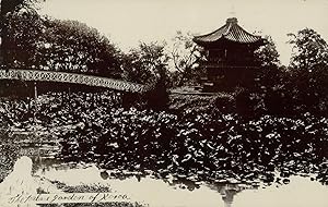 Corée, Jardins du Palais, ca.1910, Vintage citrate print