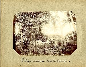 Nouvelle Calédonie, Ile des Pins, village kanak