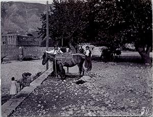 Monténégro, Kotor, transport de marchandises à dos de cheval