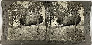 Keystone, Stéréo, Australia, Victoria, Torpedo Rock, mount Buffalo