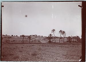 Maghreb, Palmiers et remparts d'une ville ancienne, Vintage citrate print, ca.1900