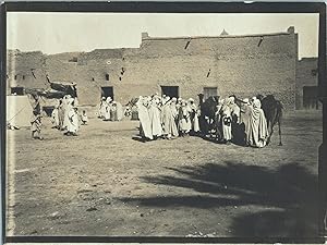 Maghreb, rassemblement autour de dromadaires, Vintage silver print, ca.1910