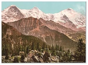 Schweiz, Berner Oberland, Schynige Platte mit Eiger, Mönch und Jungfrau