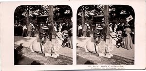 France, Paris, Jardin d'Acclimatation, Fillette sur un chameau, Vintage print, ca.1900, Stéréo
