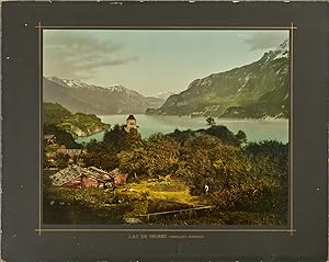 P.Z mammouth print Suisse, lac de Brienz