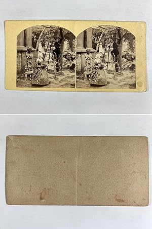 Scène, Homme sur une échelle, Vintage albumen print, ca.1860, Stéréo