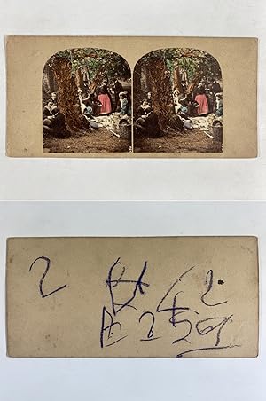 Un pique-nique en forêt, Vintage albumen print, ca.1860, Stéréo