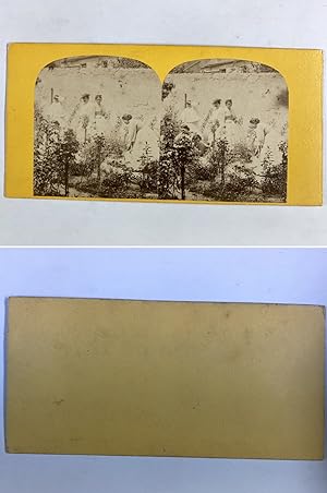 Femmes jardiant, Vintage albumen print, ca.1860, Stéréo