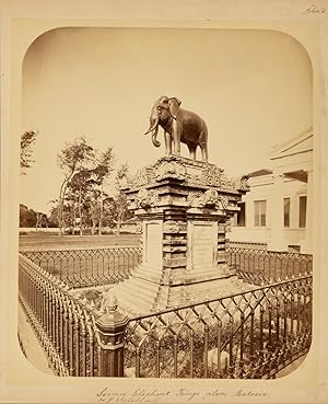 Java, Batavia, Siames elephant